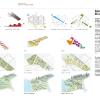Dalian PDF